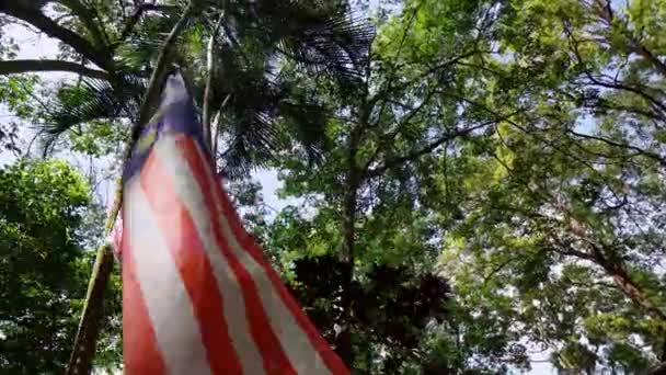 在丛林中空中轮流跟随马来西亚国旗 — 图库视频影像