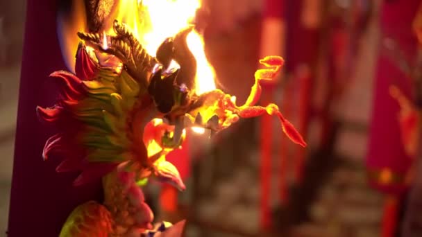 Close Chinese Dragon Incense Burn Night — Stock Video