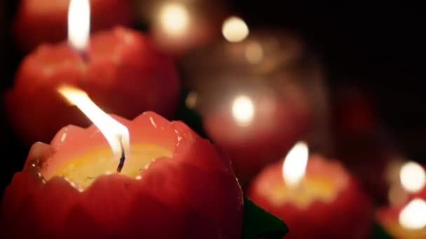 寺院の蓮の形のろうそくの光を閉じる — ストック動画