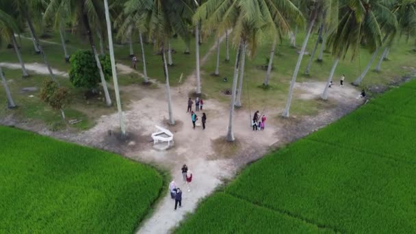 Penaga Penang Malásia Outubro 2021 Turista Malaio Desfruta Fazenda Turismo — Vídeo de Stock