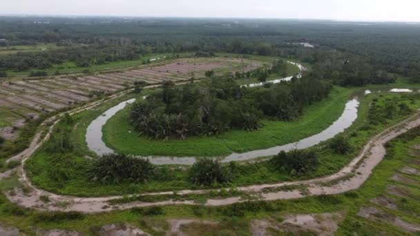 亚洲有耕地的空中飞越弯曲的河流 — 图库视频影像