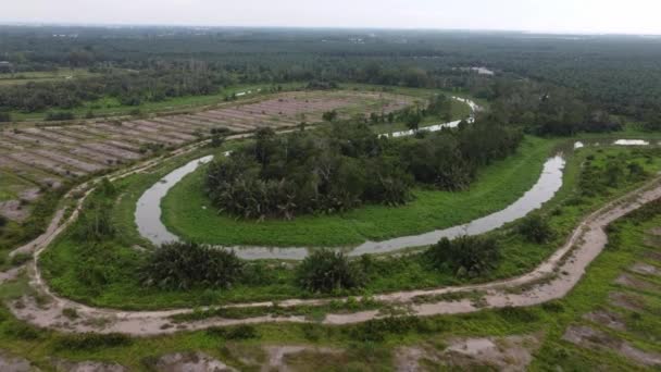 Vuelo Aéreo Sobre Río Curva Con Tierra Cultivada Asia — Vídeo de stock