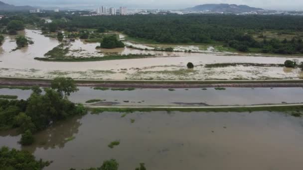 Inundação Vista Aérea Plantação Malásia Estação Chuvosa — Vídeo de Stock