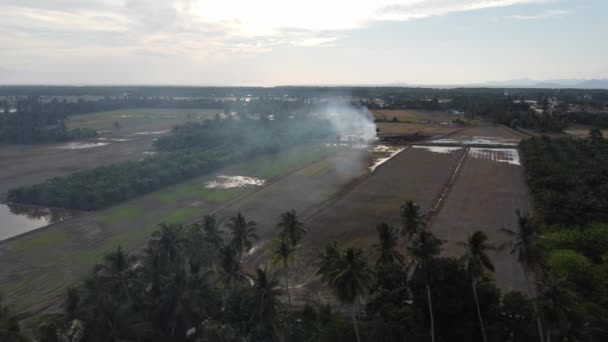 Vue Sur Drone Brûlant Ciel Ouvert Dans Une Rizière — Video