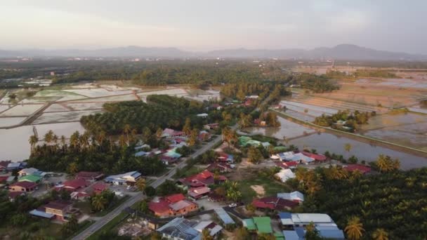 Widok Lotu Ptaka Wioska Malays Pobliżu Plantacji Pól Ryżowych — Wideo stockowe