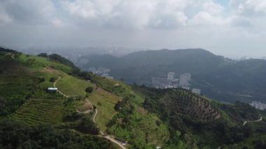 Penang 'da plantasyonu olan gökyüzü manzaralı dağlık arazi