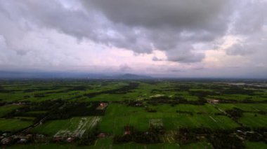 Malezya 'nın Kuala Kurau kentindeki kırsal çeltik tarlasında hava görüşü bulutlu.
