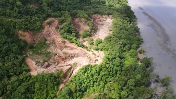 Vue Aérienne Forêt Est Défrichée Près Côte Pour Exploitation Minière — Video