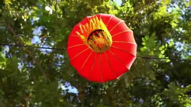배경으로 잎으로 제비갈매기 장식을 올려다보라 — 비디오