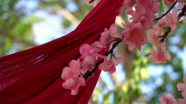 Seleccione Flor Del Foco Con Tela Roja Fondo Como Decoración — Vídeo de stock