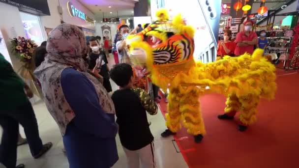ジョージタウン ペナン マレーシア 2022年1月29日 タイガーダンスモールへの訪問者を迎える — ストック動画