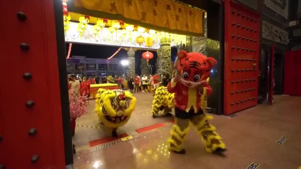 Georgetown Penang Malaysia Jan 2022 Χορός Λιονταριού Και Παράσταση Μασκότ — Αρχείο Βίντεο