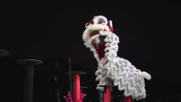 Georgetown Penang Malesia Feb 2022 Stilt Lion Dance Performance Throw — Video Stock