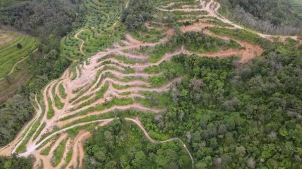 在山坡上进行空中景观土地清理活动 — 图库视频影像