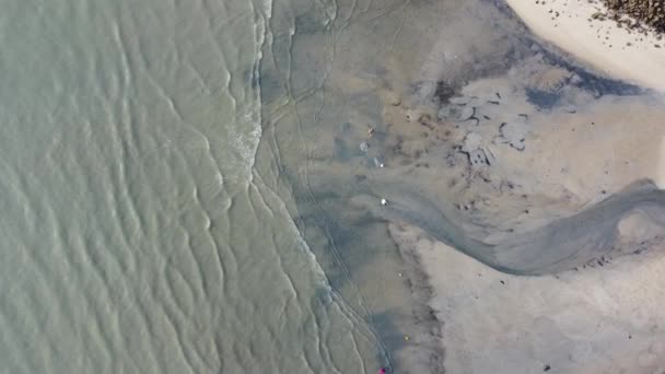 空中俯瞰 俯瞰人们在海滨搜寻蛤蟆 — 图库视频影像