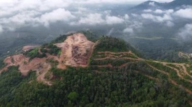 Hava manzaralı ormansızlaşma arazisi sabah alçak bulutlu arka planla temizleniyor.