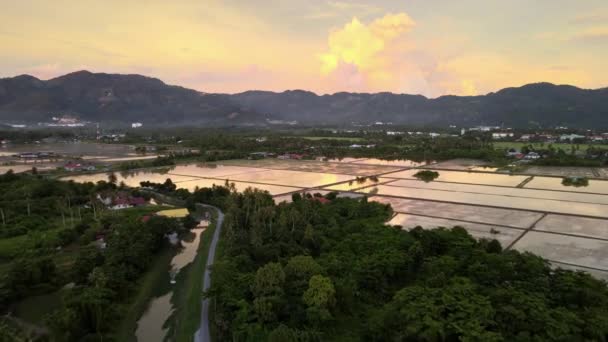 空中ビュー夕暮れ時に水の季節の水田のプランテーションの近くにBalk Pulau Kampung — ストック動画