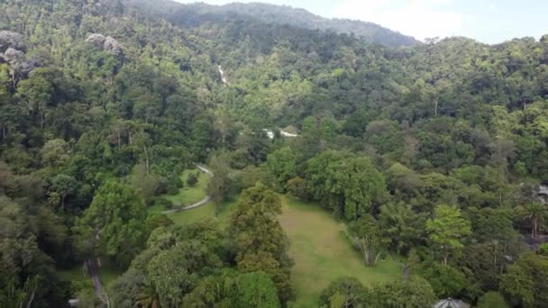 Yağmur Ormanlarının Arka Planına Sahip Penang Botanik Bahçesi — Stok video