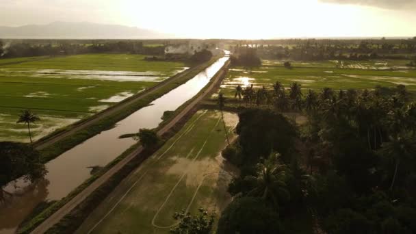 Luchtfoto Vliegen Rijstveld Regenachtige Dag Tijdens Zonsondergang Uur — Stockvideo