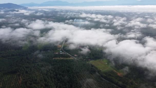 Luftaufnahme Niedriger Wolkenflug Über Der Landschaft Des Malaiischen Dorfes Serdang — Stockvideo