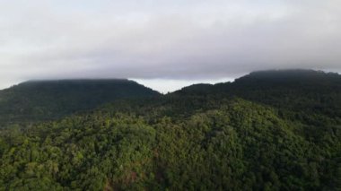 Alçak bulutlar tepeyi kaplarken, orman üzerinde uçan bir hava.