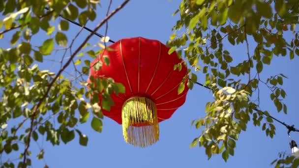 Röd Lykta Med Förgrund Gröna Blad Blå Himmel — Stockvideo