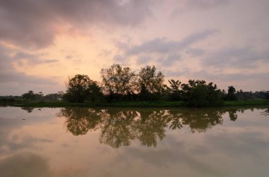 Sungai Perai, Penang nehri yakınlarındaki dramatik gökyüzünün altındaki güzel yeşil mangrov ağaçlarının yansıması..