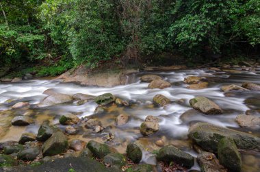 Şelale nehri Sungai Sedim yağmur ormanlarındaki kayaların üzerinden akıyor.