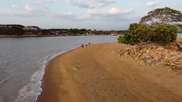 Penaga Penang Malezya Mar 2021 Kuala Muda Yakınlarındaki Kıyılarda Balık — Stok video