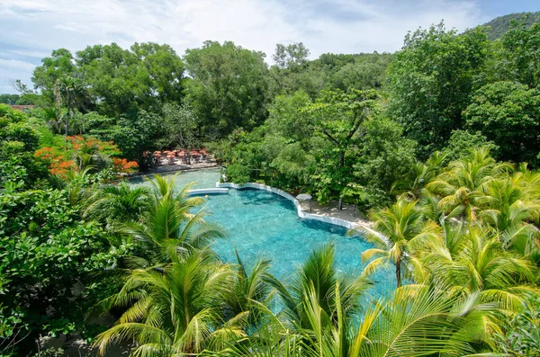 Yeşil Ağaçta Escape Tema Parkında Yüzme Havuzu Penang Turizmi Stok Resim