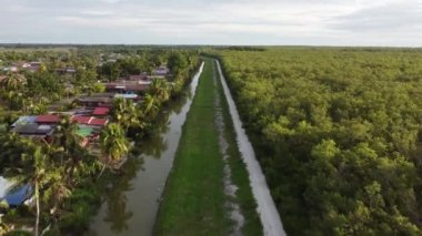 Sungai Chenaam, Penang 'daki Malays Kamp Evi' nin yanındaki hava manzaralı mangrov ormanı.