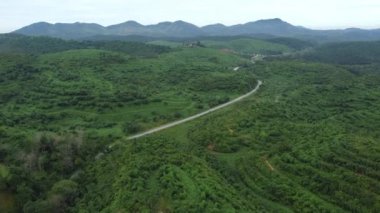 Yeşil tarlaların yakınındaki hava manzaralı beton yol.