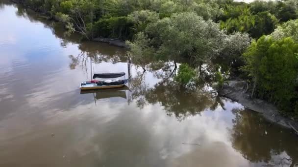 Flyg Rör Sig Långsamt Mot Fiskebåt Park Nära Mangrove Träd — Stockvideo