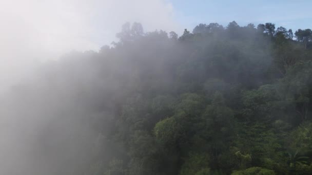Vzduch Stoupá Nad Zelenou Plantáž Vysočině Malajsii — Stock video