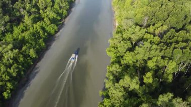 Batu Kawan, Penang, Malezya - 20 Şubat 2021: Panorama manzaralı balıkçı teknesi güneşli bir günde Mangrove ormanında denize açıldı