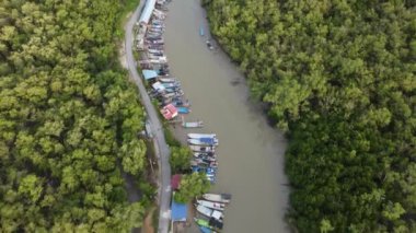 Sungai Udang, Penang, Malezya - 23 Ağustos 2021 Havadan aşağıya doğru Mangrov ormanının yanında balıkçı iskelesi