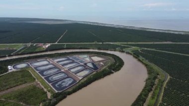 Yağ palmiyesi çiftliği ve Kuala Kurau Nehri yakınlarındaki karides çiftliği.