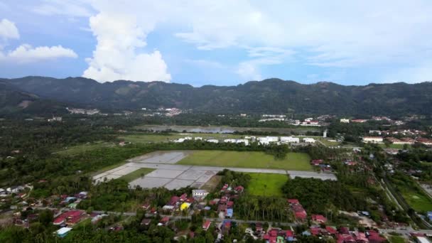 Luftaufnahme Reisfeld Malaiischen Kampung Haus — Stockvideo