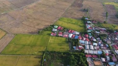Çeltik tarlası yakınlarındaki Malezya köyüne doğru uçuyorlar.