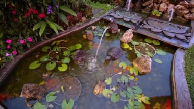 Gölette kaplumbağa süsleme heykeli. Sudaki fenerin yansıması.