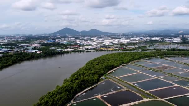 Бату Каван Пенанг Малайзія Жовтня 2021 Повітряний Вид Рибна Ферма — стокове відео