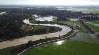 Çeltik tarlasının yakınındaki hava manzaralı eğri nehir
