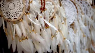 Grupta düş kapanı odak beyaz tüyünü seç