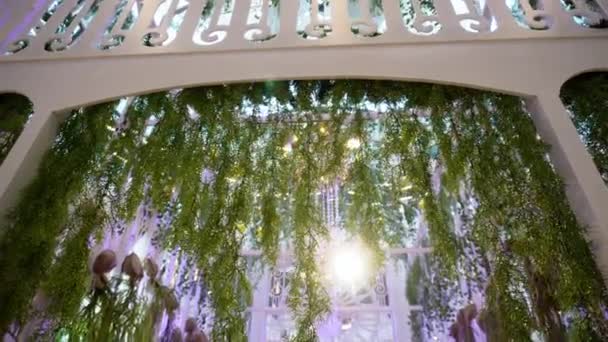 Hermosa Llamarada Luz Led Través Planta Verde Interior — Vídeo de stock