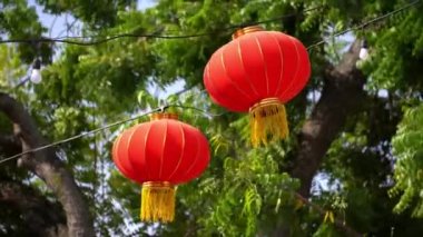 Kırmızı fener yeşil bir ağacın yanında sallanıyor.