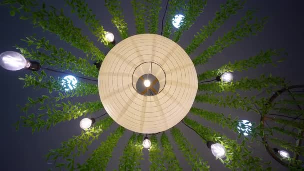 Lanterna Illuminata Con Vista Verde Artificiale Della Pianta Dal Basso — Video Stock