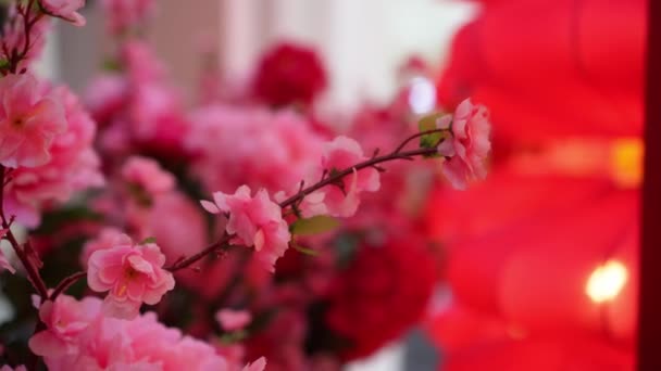 Flor Cereja Artificial Rosa Fundo Festivo Bokeh — Vídeo de Stock