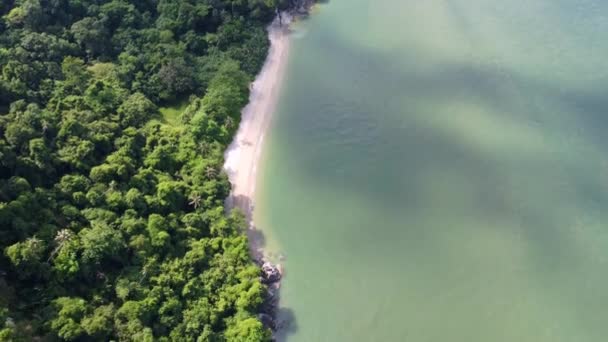 Vue Aérienne Vers Bas Calme Bord Mer Près Forêt Malaisie — Video