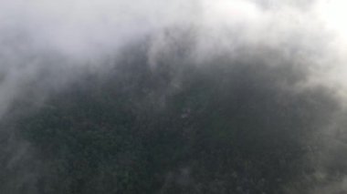 Hava sabah sisli bulut yağmur ormanlarını örtüyor