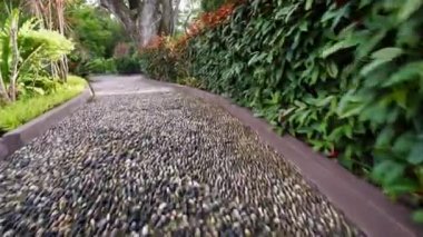 Parktaki masaj taşına yavaşça yaklaş.